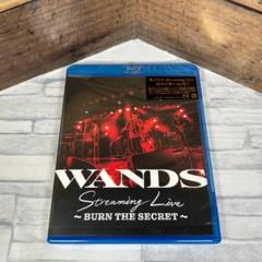 CD8cmシングル』☆WANDS「世界が終わるまでは・・・」※中古