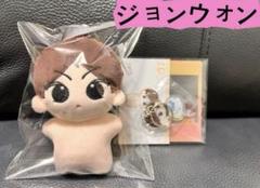 ENHYPEN ジョンウォン　ぬいぐるみ服　5cm セット 2025年最新】enhypen ジョンウォン ぬいぐるみ洋服の人気