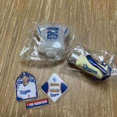 中日ドラゴンズ　岡林　アクスタ　石川昂也