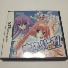 海辺でリーチ!DS DSソフト