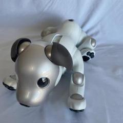 aibo アイボ ソニー　ERS-1000 電動ロボット 6年経ちました』 SONY aibo ERS-1000 [Ivory White] forza xx