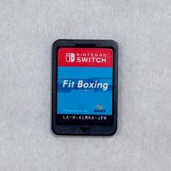 Nintendo Switch Fit Boxing