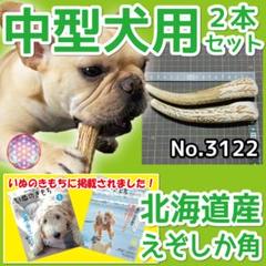 2025年最新】エゾシカ 角の人気アイテム - メルカリ