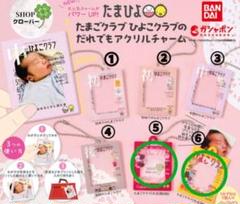 たまひよ チャーム 3点セット