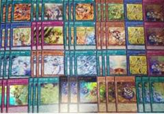 御巫 みかんこ フルセット各3枚 タクティカルトライパック ②