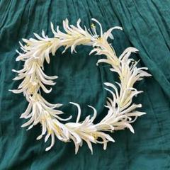 フラダンス用ホワイト花冠ヘアアクセサリー