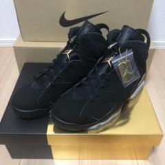 NIKE Air jordan 6 Retro DMP (2020) 27cm