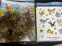 イーブイヒーローズ　コレクションファイル　コレクションリフィルのサムネイル