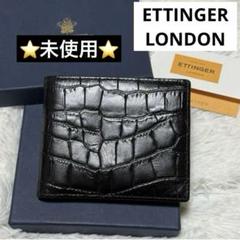 ⭐️未使用⭐️ エッティンガー　EBONY エボニー　クロココレクション　型押しのサムネイル