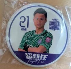 サンフレッチェ広島 蓄光缶バッジ 21.田中雄大