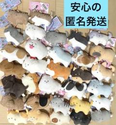 つぶらな瞳の犬と猫 全32種 セット - メルカリ