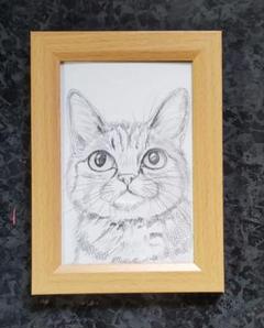 色鉛筆画 A4キジトラ.67 キジトラ猫色鉛筆画｜Yahoo!フリマ（旧PayPayフリマ）