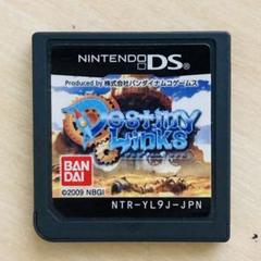 DSソフト デスティニーリンクス