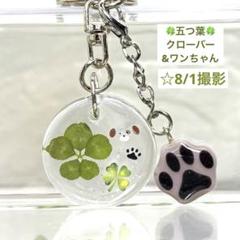 五つ葉クローバー&ワンちゃん肉球チャーム付き　ミニキーホルダーハンドメイドレジン