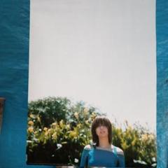 2025年最新】井川遥カレンダーの人気アイテム - メルカリ