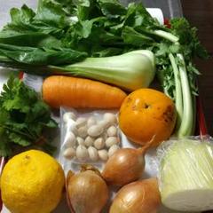 無農薬野菜セット