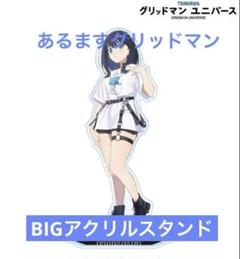 SSSS.GRIDMAN ヴィレッジヴァンガード　宝多六花　アクリルスタンド imgrc0120951091.jpg
