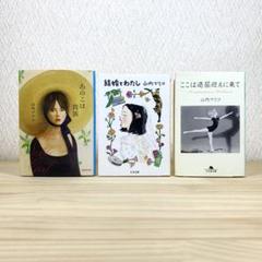 あのこは貴族 　結婚とわたし 　ここは退屈迎えに来て 　山内マリコ　3冊セット