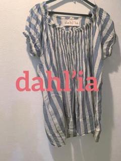 Dahlia ストライプ　シャーリングブラウスのサムネイル