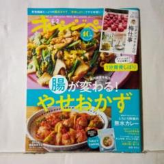 やせおかず 2025年6月号