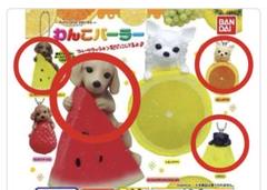 2025年最新】わんこ バンダイの人気アイテム - メルカリ