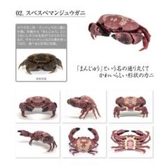 2025年最新】マンジュウガニの人気アイテム - メルカリ