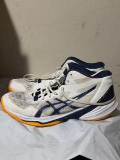 asics スカイエリートff3