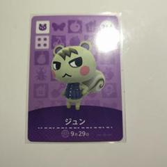 あつまれどうぶつの森 amiiboカード ジュン264 - メルカリ