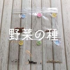野菜の種 セット
