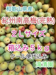 南高梅（完熟）訳あり　３Ｌサイズ　箱込み１０ｋｇ　梅干し用　滝清園30-3 紀州 生南高梅 熟青梅3Lサイズ優品 | おいしく食べて和歌山モール