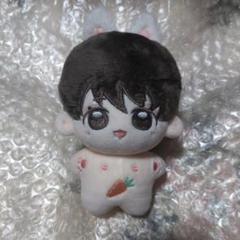 ୨୧ ジョングク ୨୧マスタニム ぬいぐるみ パーカー 10cm ジョングク マスタニム 着せ替えぬいぐるみ 10cm - メルカリ
