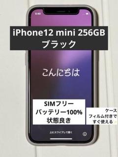 【美品】iPhone 12 mini ブラック256GB（ケース、フィルム付き）