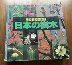 週刊 日本の樹木 1～30巻 全巻 - メルカリ