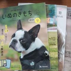 いぬのきもち　2024年　1年分　まとめ売り　12冊 2025年最新】いぬのきもち12冊の人気アイテム - メルカリ