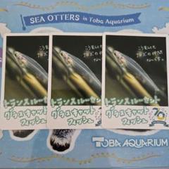 鳥羽水族館　コレカ　とばすいコレカ