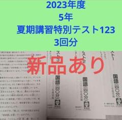2024年❗️日能研5年ステージⅢ 学習力育成テスト13回〜19回 2025年最新】日能研 テスト 3年の人気アイテム - メルカリ