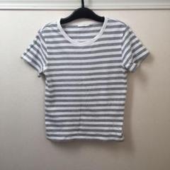 ボーダーTシャツ
