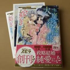 大魔術師様に嫁ぎまして～形式上の妻ですが、なぜか溺愛されています～