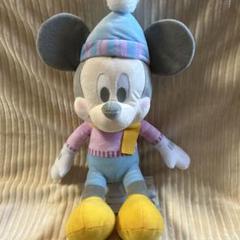 ミッキー＆ミニー 【FDM】DisneyFANコラボレーションBIGぬいぐるみ