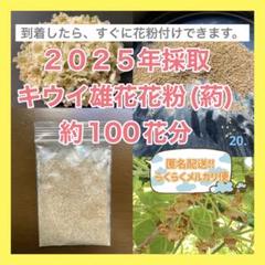 キウイ花粉（純花粉）約20g