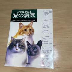 イラストでみる猫の病気 - メルカリ