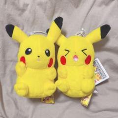 ピカチュウマニア　ぬいぐるみ　3匹セット ピカチュウマニア！ ぬいぐるみ～いろんなピカチュウ
