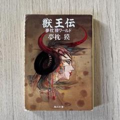 楊貴妃　天野喜孝画集　夢枕獏　文　ポスター付き 91+udrfve1L._UF350,350_QL50_.jpg