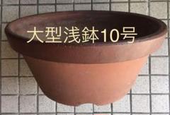2025年最新】盆栽鉢 大型の人気アイテム - メルカリ