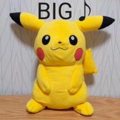 ピカチュウ ぬいぐるみ L 53 ポケセン