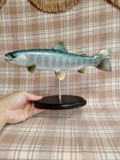 ハンドメイド　27cmミヤベイワナ　フィギュア　レプリカ　魚釣り　置物 ハンドメイド 27cmミヤベイワナ フィギュア レプリカ 魚釣り