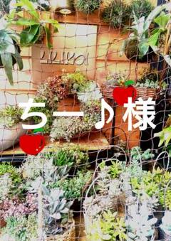 Country☆*