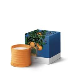 3668　新品　LOEWE ORENGE BLOSSAM キャンドル P000250X38_8100_1F.jpg