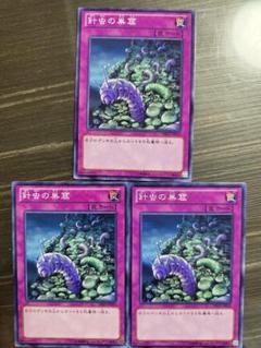 2025年最新】遊戯王 針虫の巣窟の人気アイテム - メルカリ