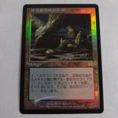 血染めのぬかるみ　拡張foil 3枚 Foil】(463)□拡張アート□《血染めのぬかるみ/Bloodstained